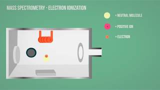 MS  Mass Spectrometry  Electron Ionization Animation [upl. by Jenilee680]