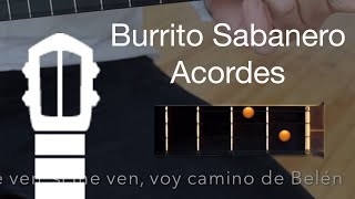 Burrito Sabanero  Canta con el Cuatro [upl. by Otreblide]