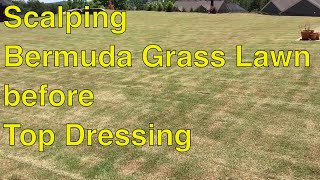 SCALPING BERMUDA GRASS Lawn before TOP DRESSING [upl. by Paradies]