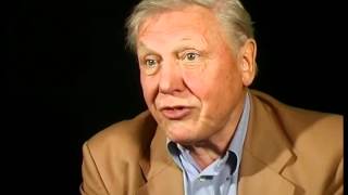 BBC The Ascent of Man Extra Interview with Sir David Attenborough [upl. by Ferrigno847]