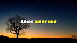 Adiós amor mío  Fuiste lo mejor de mi vida  Christian B Vargas [upl. by Red915]