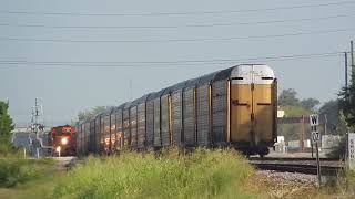 Railfanning Pearland TX 081523  Feat NS [upl. by Yedorb]