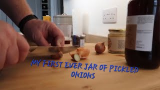 My First Attempt of Pickling Onions with JeremyClarkson Honey [upl. by Town364]