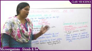 class VIII Science Microorganism Friends amp Foe part 1 [upl. by Valerian]