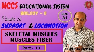 SKELETAL MUSCLES  Muscles Fiber  Ch16 Part 11  BIO 2nd Year  Prof ISHFAQ HUSSAIN  LEC31 [upl. by Canfield]