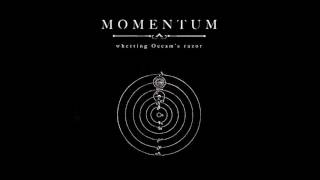 Momentum  Theory [upl. by Ayifas]