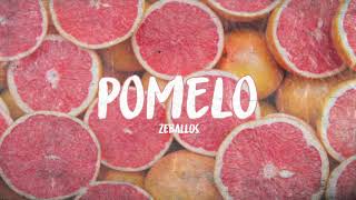 POMELO  ZEBALLOS [upl. by Trainer]