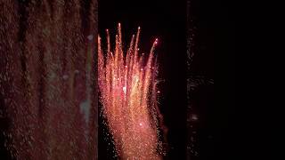 Traumhafter Feuertopf 🔥😱 fireworks feuerwerk pyro [upl. by Ahsier]