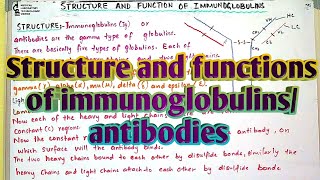 Immunoglobulinsstructure and function of immunoglobulinseasy way to learn in hindi amp urdu [upl. by Raddi179]