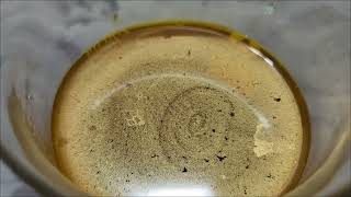 Dissolving gold with H202 gold recovery [upl. by Esinyt233]