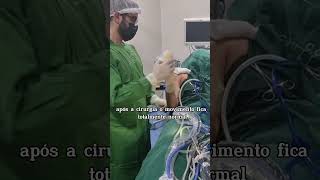 Como é uma cirurgia para ombro congelado Cura para capsulite adesiva após a fisioterapia [upl. by Hernardo88]