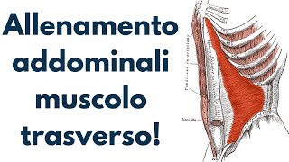 Allenamento addominaliil muscolo trasverso [upl. by Kare]