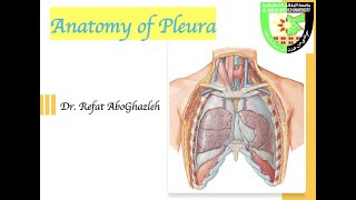 Anatomy of Pleura [upl. by Doble]