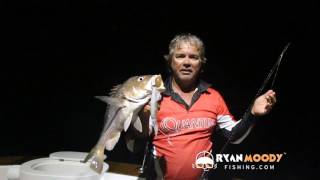 CATCHING BIG FINGERMARK WITH LIVE SQUID  BEST BAIT [upl. by Assilaj]