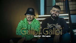 Achraf Maghrabi  Galbi Galbi Feat Sohaib Tayeb  Official Music Video [upl. by Macnair]