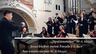 Spatzenmesse W A Mozart  Christoph Mairiedl  Primiz Moritz Waldhauser [upl. by Aryaz]