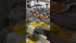 Eggs Breaking Machine inovation egg machine [upl. by Aralomo375]