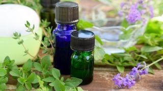 Can oregano oil treat colds [upl. by Thorndike]