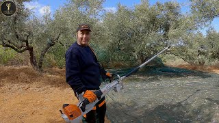 STIHL SP 452 amp SPA 140 σε ελληνικό ελαιώνα [upl. by Enawtna826]