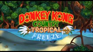 DKC Tropical Freeze  High Tide Ride [upl. by Honora]