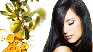 How to use Argan Oil for Hair Growth [upl. by Moyra]