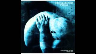 Porcupine Tree  Orchidia [upl. by Nabatse]