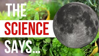 Does Moon Phase Planting REALLY Effect Plants Old Wives Tale OR Based In Science  Garden Science [upl. by Karoline]