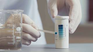 How to use Sanosil Test Strips Instructional Video [upl. by Alma]