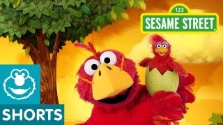 Sesame Street Bird Musical Preview  Elmo the Musical [upl. by Reeher749]