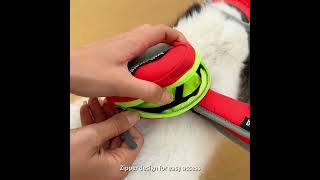 Dog harness set dogcollar mascotas dogtags [upl. by Siffre]