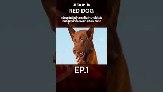 สปอยหนัง RED DOG สุนัขจรจัดตัวนี้กลายเป็นตำนานไปแล้วเป็นที่รู้จักทั่วทั้งออสเตรเลีย EP1 สปอยหนัง [upl. by Elokkin731]