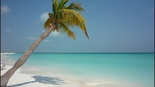 Best Beaches in Cuba YOUR Top 10 best Cuba beaches [upl. by Frasch]