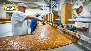 AMAZING Protein Bars Factory This is How Your Protein Bars Are Made [upl. by Veljkov783]