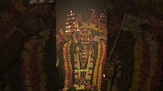 Sankarankovil Sankara narayanar temple murugan sorasamharam [upl. by Rydder]