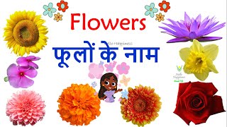 फूलों के नाम हिंदी और अंग्रेजी में जाने  Flower Names in Hindi  Flower Pictures  Flowers Names [upl. by Burleigh]