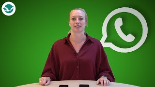 Webinar WhatsApp [upl. by Eednim]