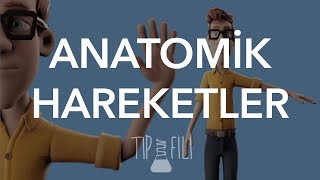 Anatomik hareketler 3d animasyonlu anlatım [upl. by Otnicaj]