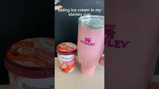 eating ice cream in my stanley cup fypシ゚viral fyp blowup stanley haagendazs icecream preppy [upl. by Spark]