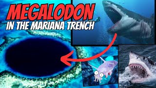 Megalodon in The Mariana Trench Unraveling the Megalodon Mystery [upl. by Biamonte844]