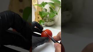 Slicing Tomato Garnish 🍅😍😋shorts slicing garnish fruitslicing tomato [upl. by Peg62]