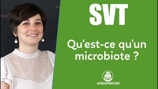 Questce quun microbiote   SVT  Collège  Les Bons Profs [upl. by Davin]