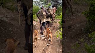 The hunter hunted four baboonshadzabetribe africa wildlife bushlife village [upl. by Kappel]