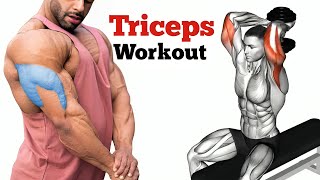 Mastering Triceps Essential Exercises and Techniques [upl. by Adnovahs602]