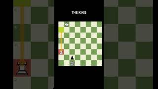 Beautiful Trick to Stop losing Rook vs Pawn Endgames [upl. by Bury]