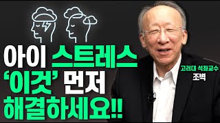 이것 조절하는 아이가 행복합니다조벽 고려대 석좌교수 [upl. by Aicenek]