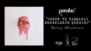 pembe  Cesur ve Taşşaklı Erkeklerin Şarkısı Full Album Stream [upl. by Etnuaed]