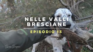 Nelle Valli Bresciane  Episodio 13  Caccia alla beccaccia [upl. by Buffum]