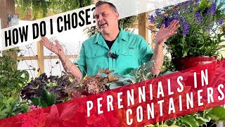 Planting Containers with Perennials [upl. by Holms]