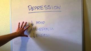 How to Diagnose Depression SIG E CAPS [upl. by Arag]