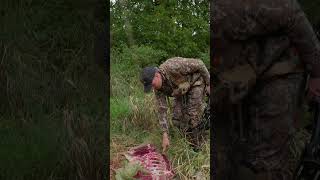 Have you ever lost a deer to a predator deerhunting meateater [upl. by Syla]